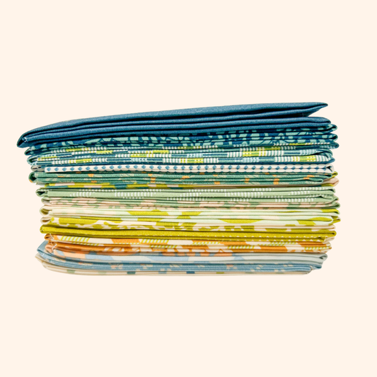Evolve Fat Quarter Bundle – by Suzy Quilts for Art Gallery Fabrics